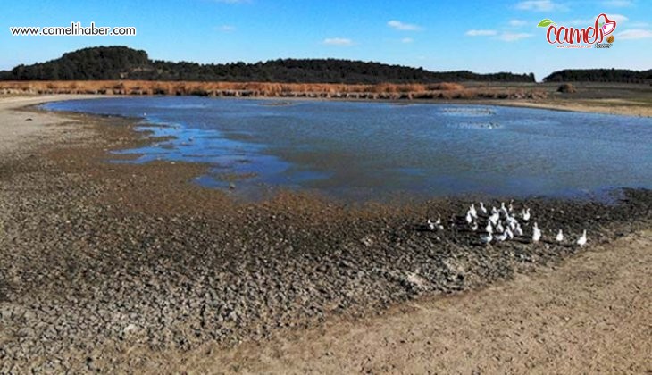 Süleymanlı Yayla Gölü’nü besleyen kanallar temizleniyor
