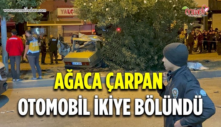 Adana‘da ağaca çarpan otomobil ikiye bölündü: 3 ölü, 2 yaralı