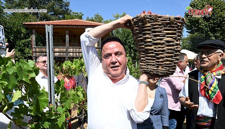 Antalya Gastronomi Festivali’nin İkinci Gününde Mor Üzüm Hasadı