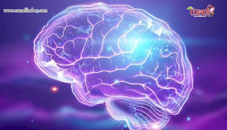 Araştırmacılar konuşmayı beyin aktivitesinden yeniden yapılandırıyor, karmaşık sinir süreçlerini aydınlatıyor