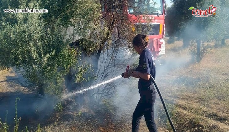 Aydın Büyükşehir Belediyesi İtfaiyesi’nden Umurlu’daki Yangına Müdahale