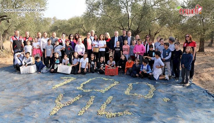 Başkan Arslan öğrencilerle zeytin hasadı yaptı
