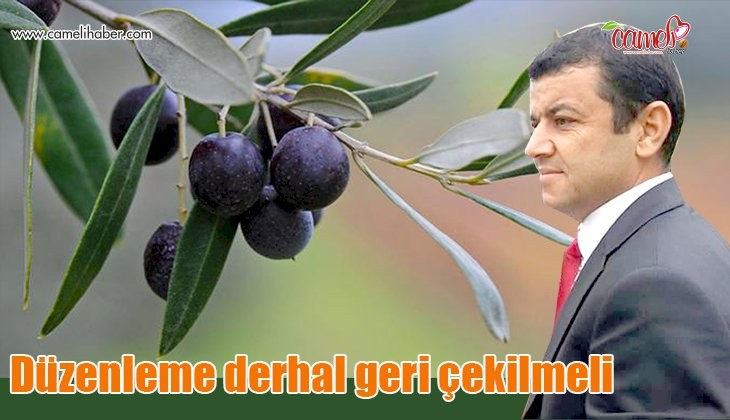 Bülent Nuri Çavuşoğlu'nun zeytinlik düzenlemesi ile ilgili basın açıklaması
