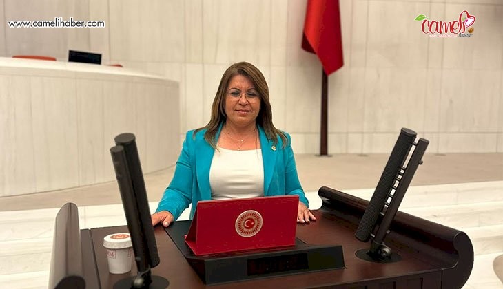 Gülizar Biçer Karaca: "Açıklanan orta vadeli programın altı boş"