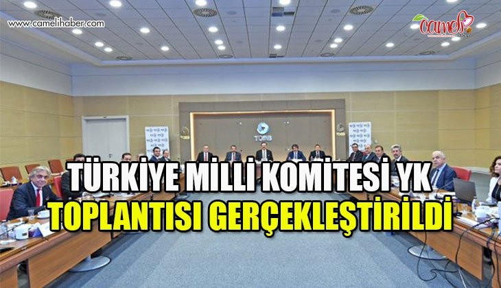 Kasapoğlu, Türkiye Milli Komitesi YK toplantısına katıldı
