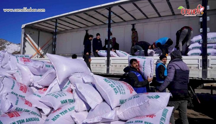 Muş Valiliğinden depremzede besicilere 250 ton yem desteği