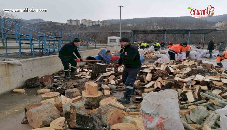 Park ve Bahçeler Müdürlüğü ekiplerinin depremzedeler için odun seferberliği