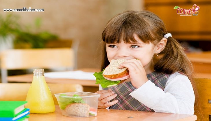 Sağlıklı Beslenmek Okul Başarısını Artırıyor