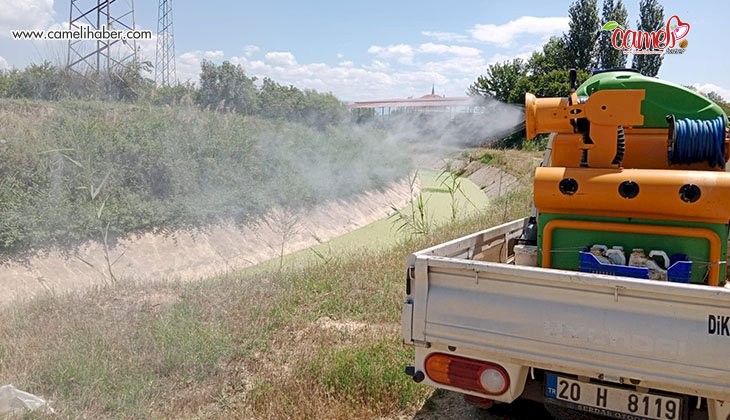 Sarayköy Belediyesi, larva ilaçlama çalışmalarına başladı
